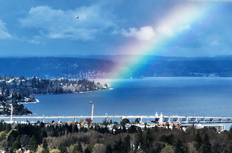 Lake Washington Image